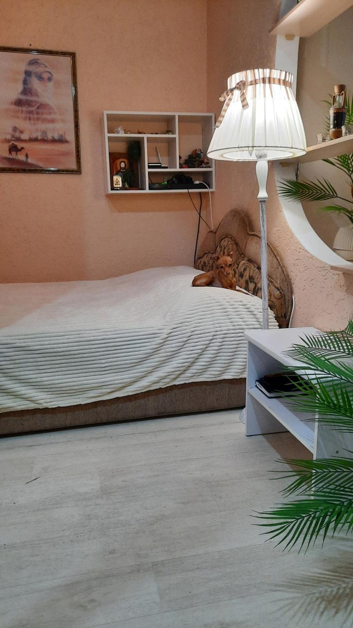 Апартаменты В Центре, По Типу Хостел Kropyvnytskyi Habitación foto
